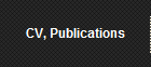 CV, Publications