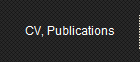CV, Publications
